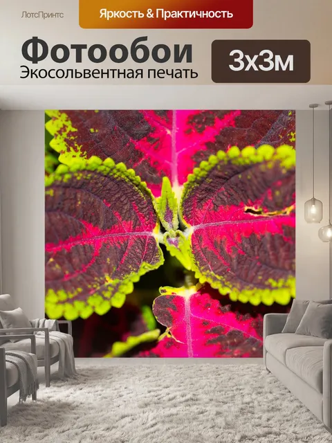 Фотообои Листья