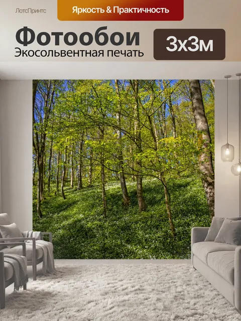 Фотообои Лес в Скиптоне