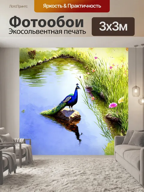 Фотообои павлин, сидящий на камне у пруда, отражается в спокойной воде