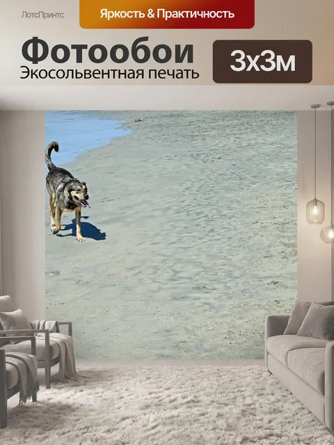 Фотообои Животное