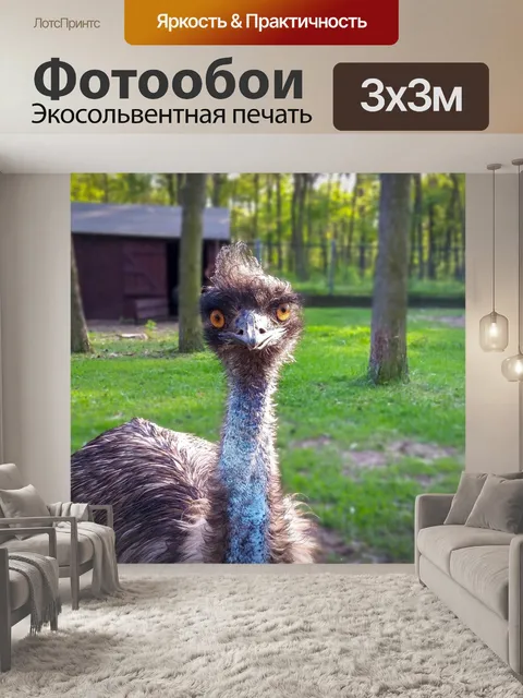 Фотообои Природа