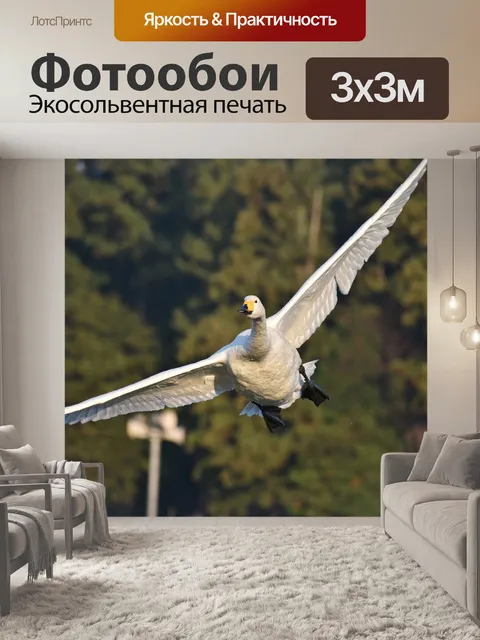 Фотообои Животное