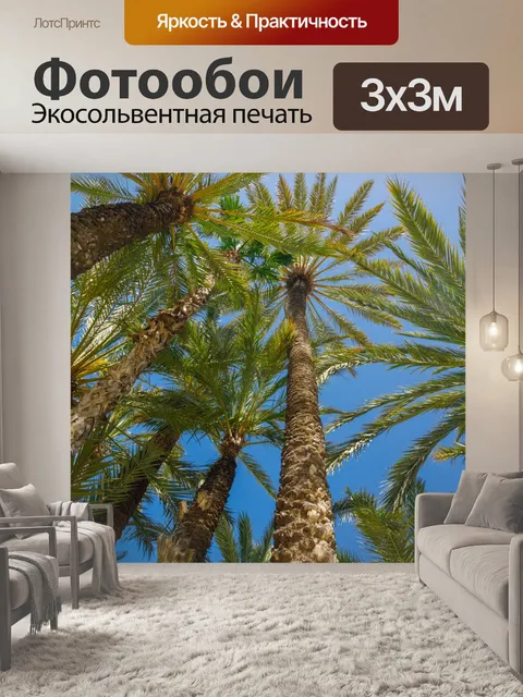 Фотообои Пальмы и голубое небо