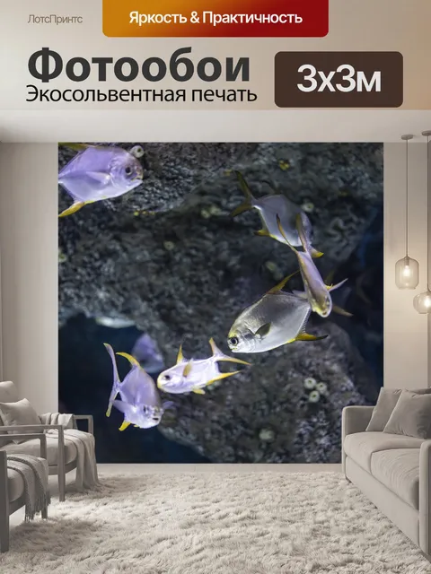 Фотообои Рыба