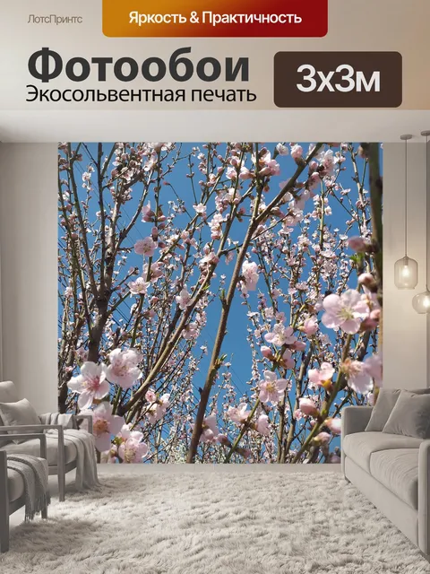 Фотообои Цветы