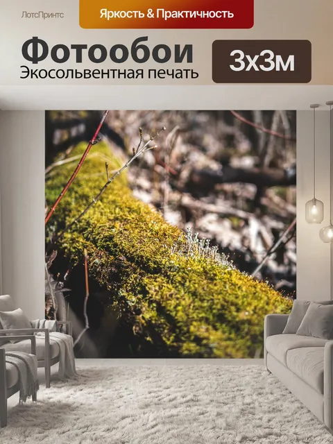 Фотообои Дерево