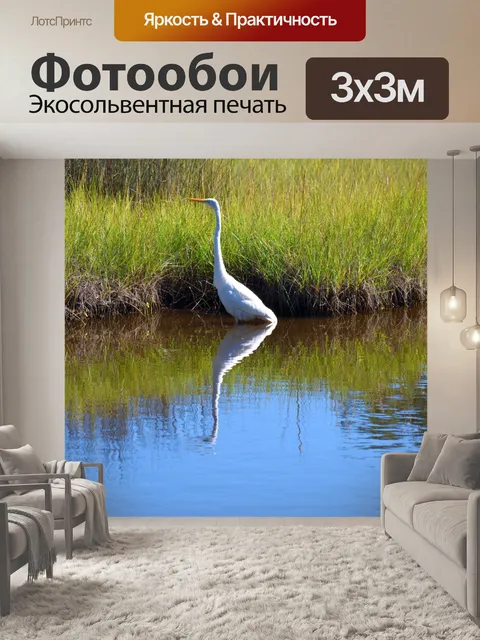 Фотообои Большая белая цапля