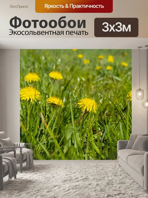 Фотообои Одуванчик