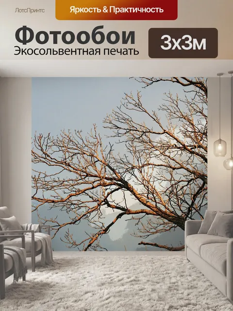 Фотообои золотой свет на голых ветвях