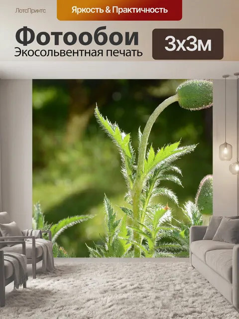 Фотообои Мак