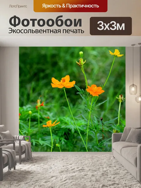 Фотообои Цветы