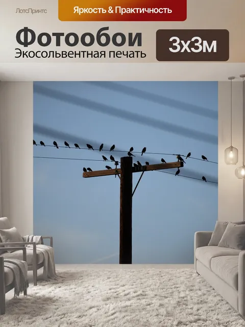 Фотообои Птицы