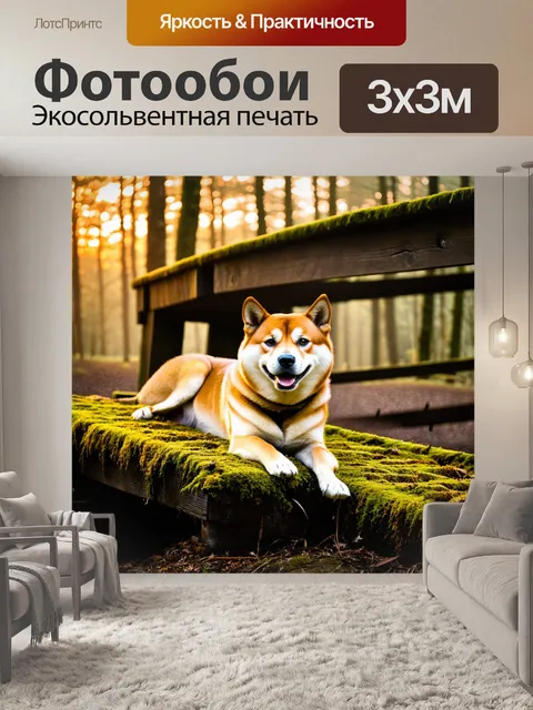 Фотообои сиба ину, задумчиво лежащий на старом деревянном мосту с покрытием из мха, улыбаясь в лучах теплого заката