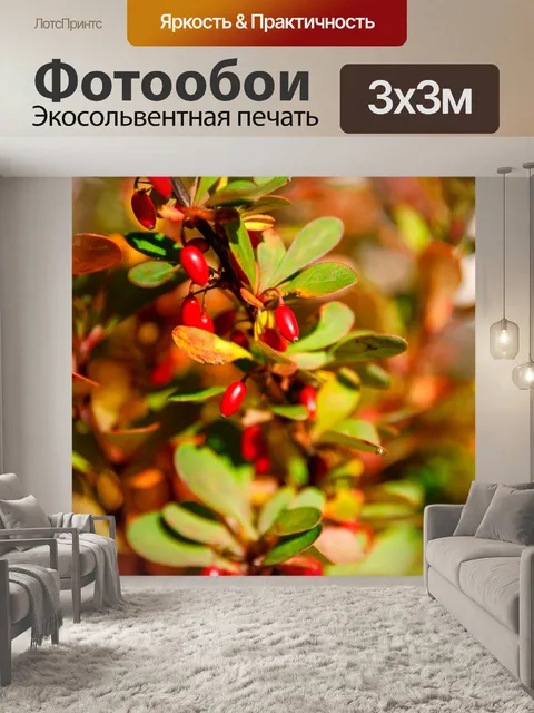 Фотообои Ягоды барбариса