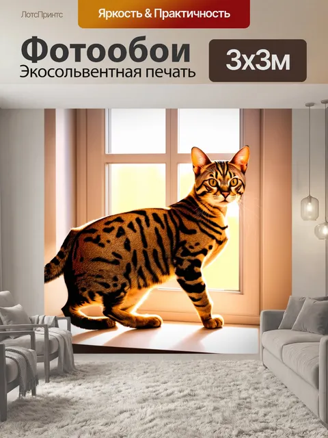 Фотообои бенгальская кошка, грациозно изгибающаяся в солнечном окне