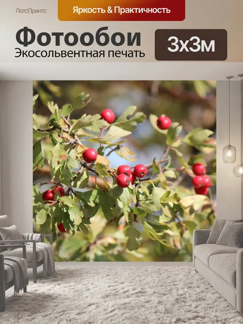 Фотообои Боярышник
