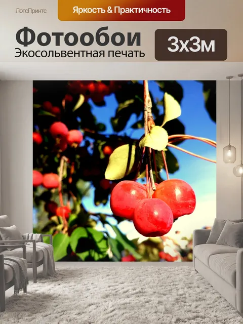 Фотообои Дикие фрукты