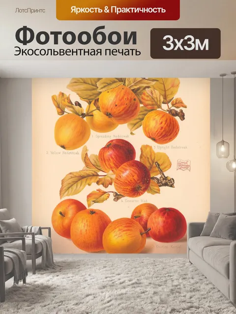 Фотообои Старинный фруктовый сад
