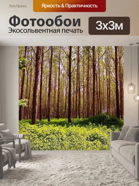Фотообои Лес