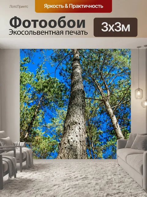 Фотообои Сосновый лес, Пан Унг, Мэй Хонг Сон