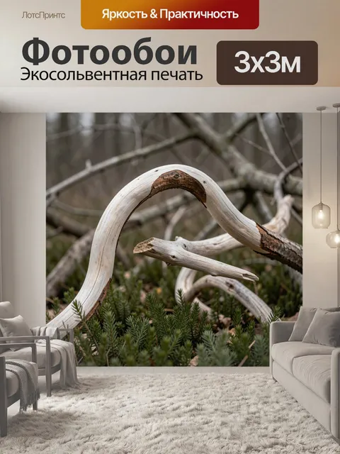 Фотообои Изогнутая сухая ветка в лесу