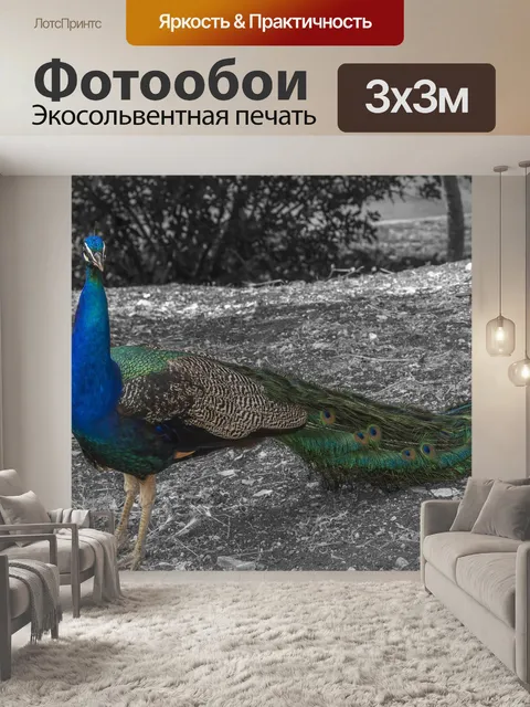 Фотообои Птица