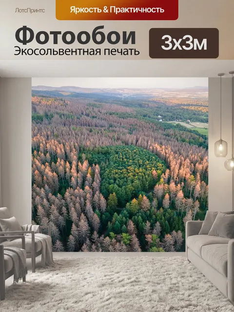 Фотообои Лес
