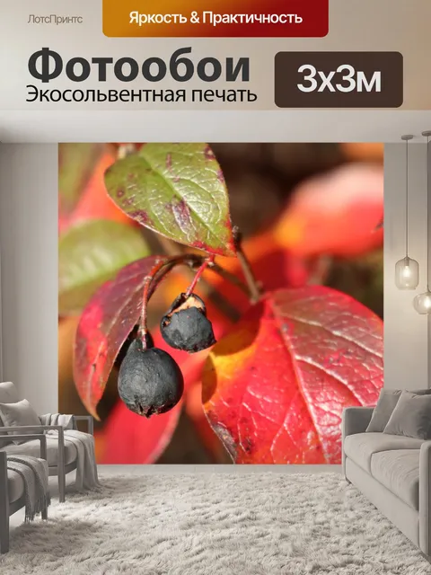 Фотообои Куст