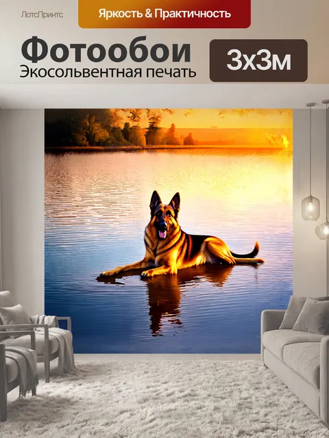 Фотообои немецкая овчарка лежит на берегу спокойного озера, отражая в воде яркие краски заката
