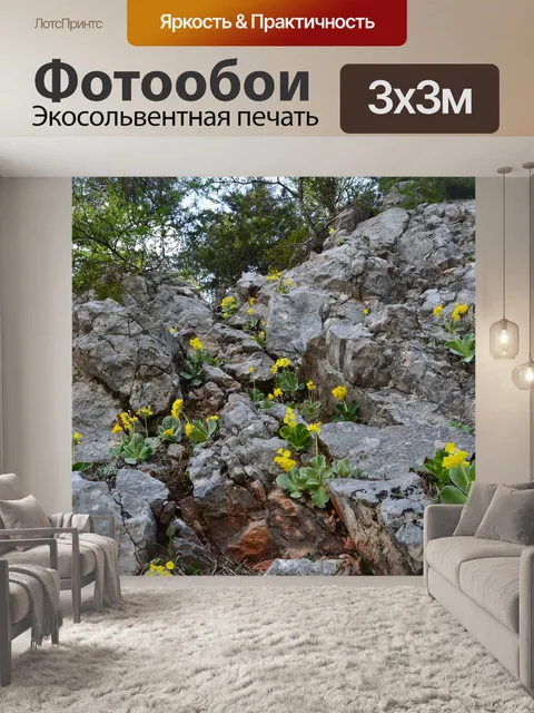 Фотообои Камень