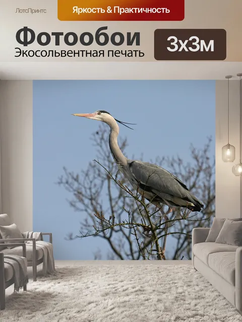 Фотообои Птица