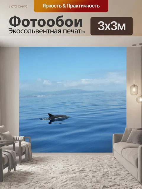 Фотообои Дельфин