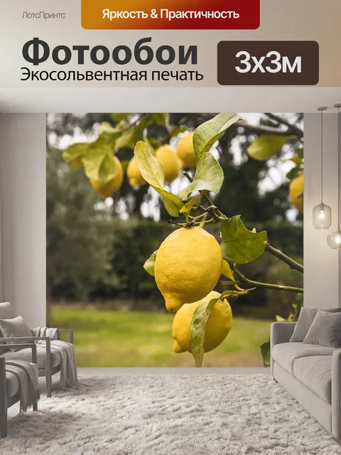 Фотообои Лимоны