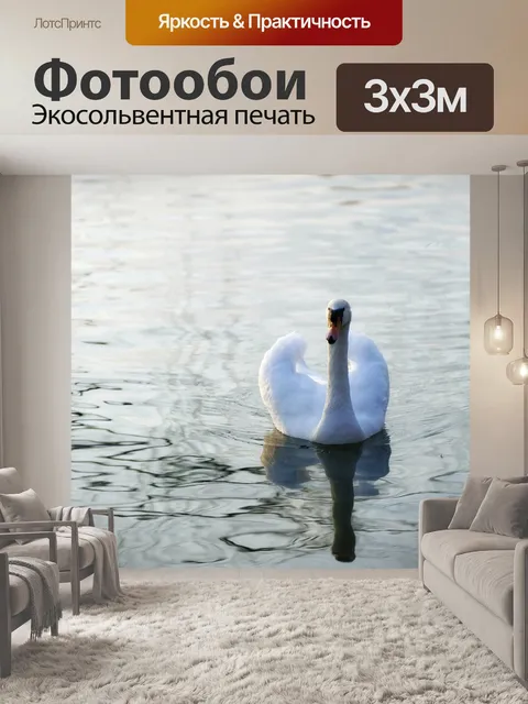 Фотообои Лебедь