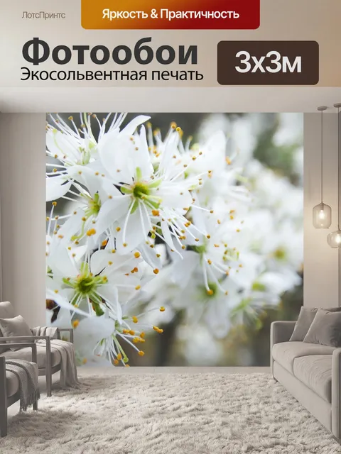 Фотообои Цветы