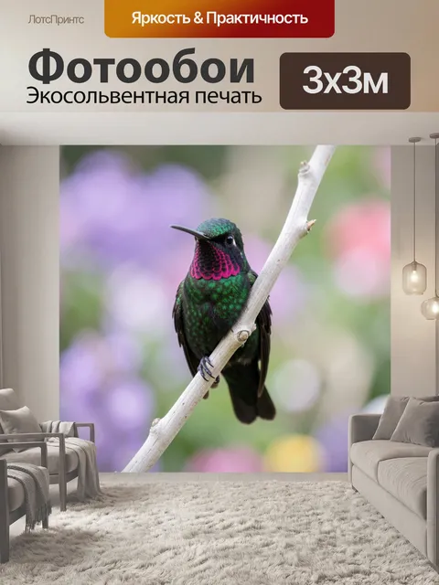 Фотообои Колибри на ветке