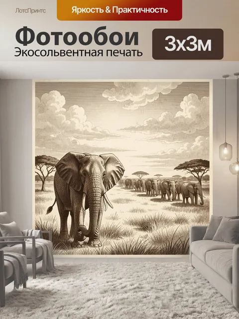 300 × 300 см · Экосольвентная печать