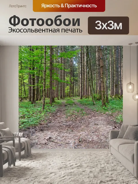 Фотообои Лес
