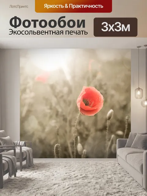 Фотообои Мак цветок