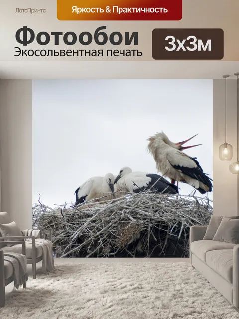 Фотообои Аист
