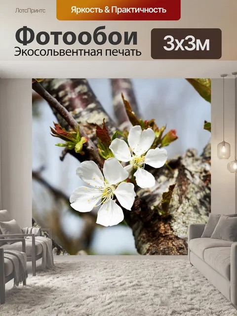 Фотообои Цветение вишни