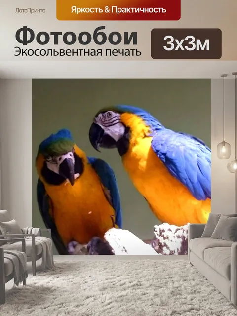 Фотообои Попугаи