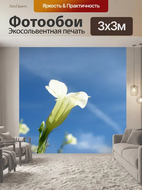 Фотообои Цветок