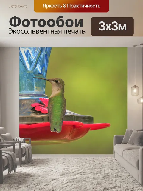 Фотообои Птица