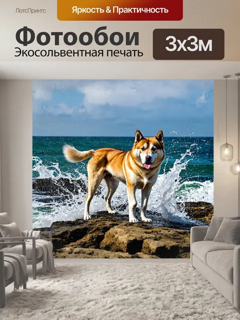 Фотообои акита, настороженная и сосредоточенная, стоит на скале у берега моря, где волны разбиваются о скалы…