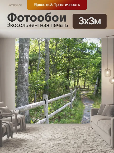 Фотообои Путь