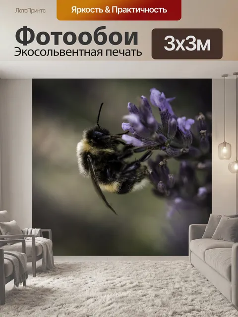 Фотообои Пчела