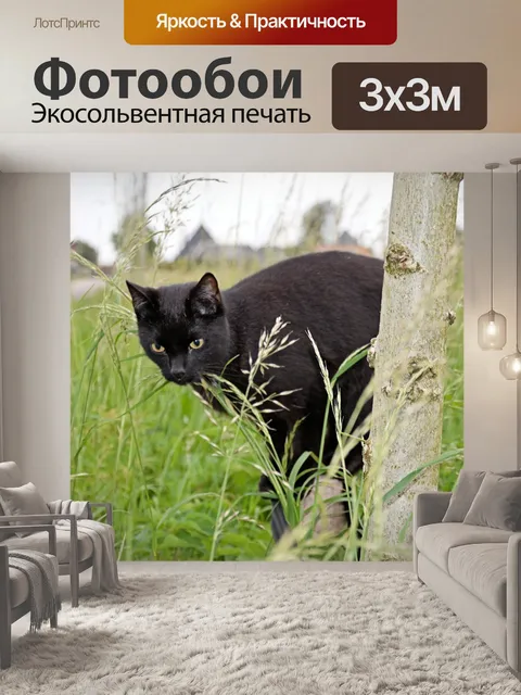 Фотообои Кошка
