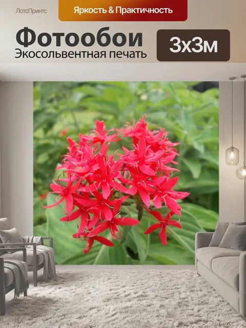 Фотообои Дерево