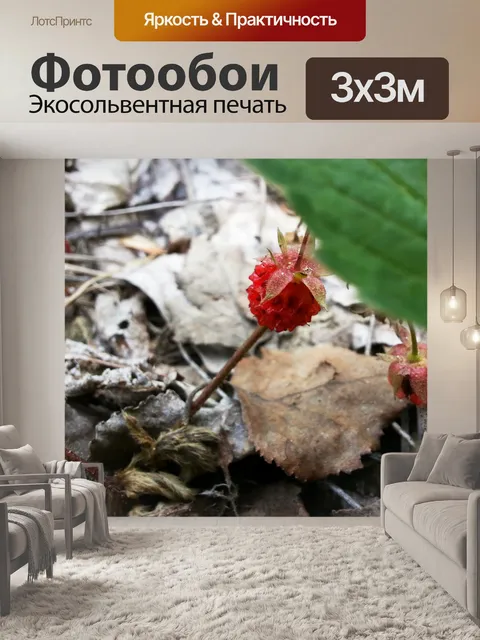 Фотообои Лесная земляника